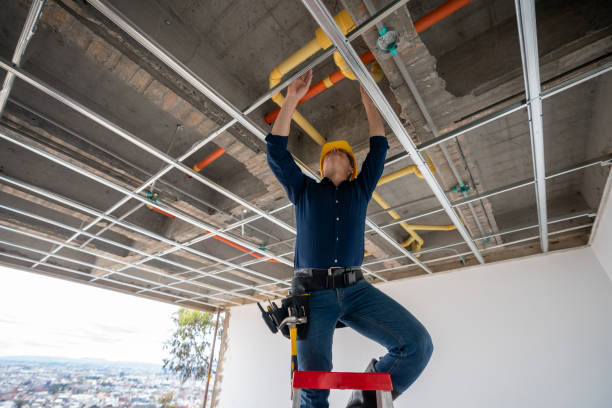Best Shower Repair Services  in Westmont, IL