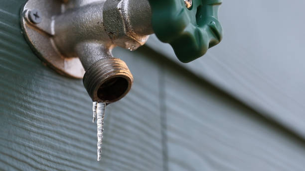 Best Local Plumber Services  in Westmont, IL