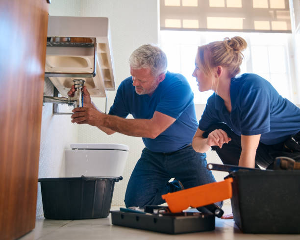 Best Residential Plumbing Services  in Westmont, IL